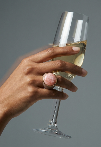 Visual representation of Anillos use case